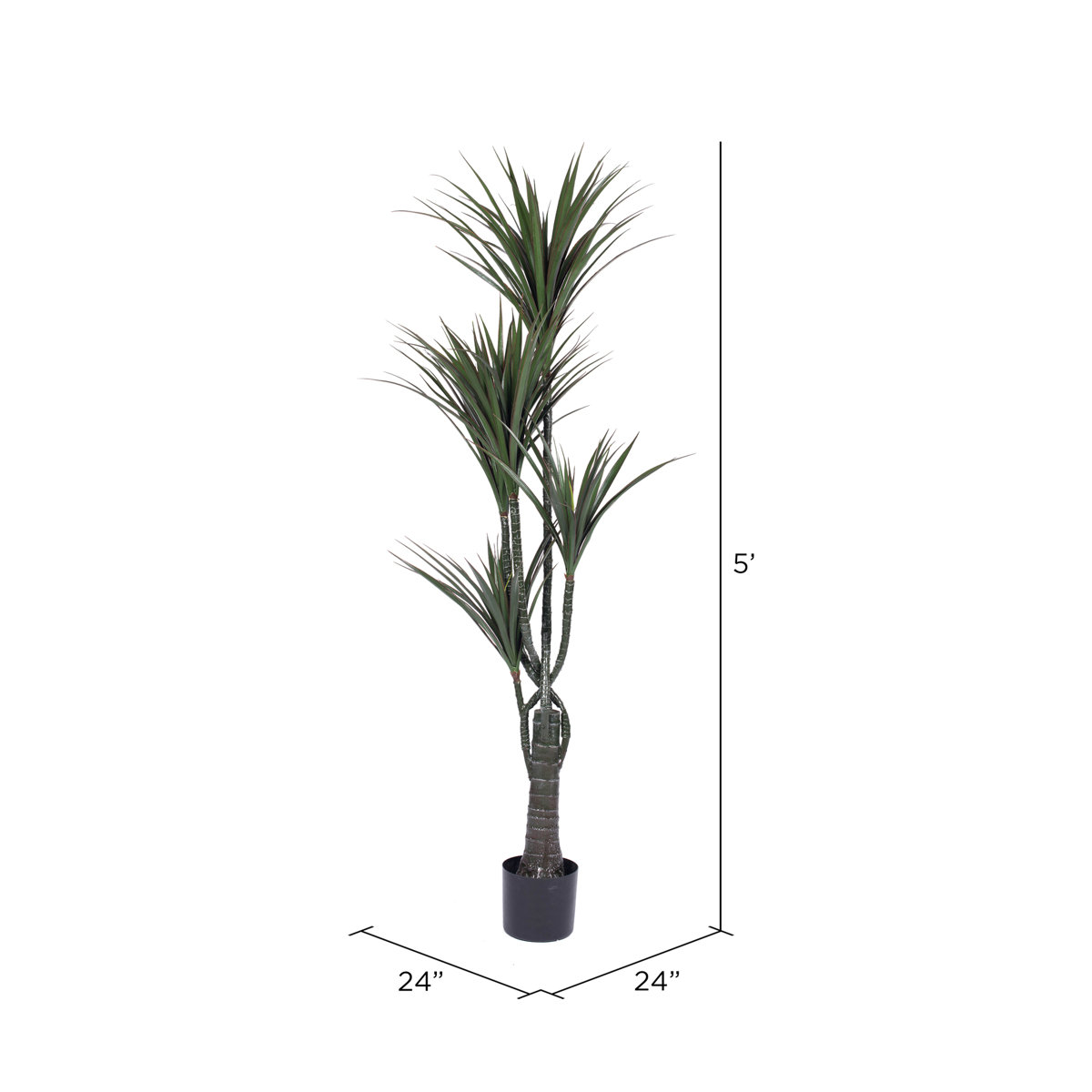 Mistana™ Yucca Tree in Round Pot & Reviews Wayfair